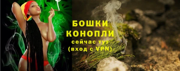 тгк Нея