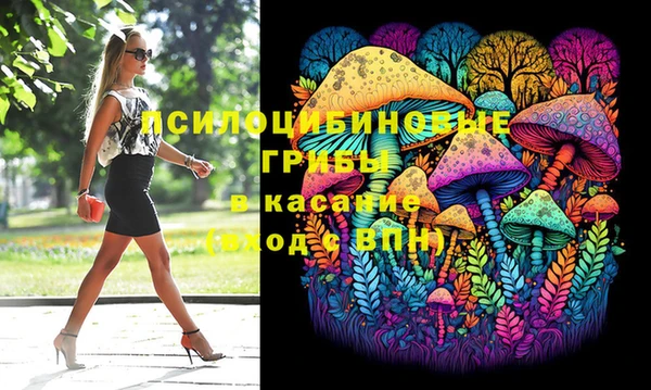 тгк Нея