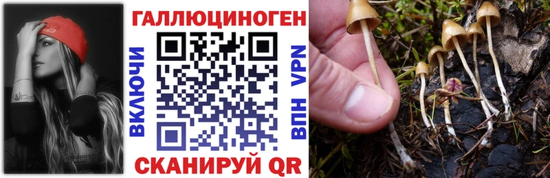 Псилоцибиновые грибы прущие грибы  OMG tor  Ладушкин 